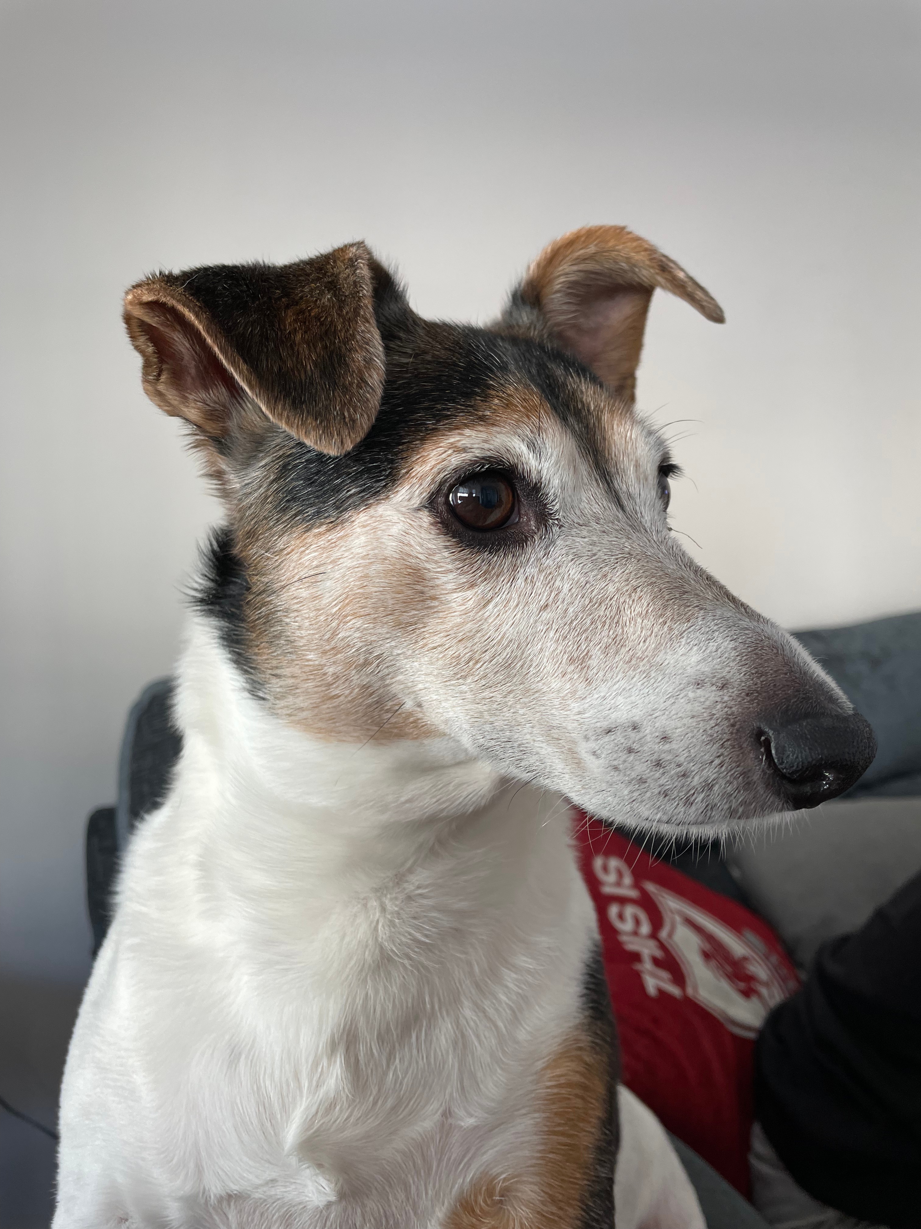 The King of This Kingdom